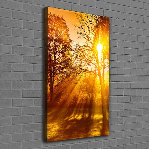 Cuadro canvas decorativo para salón vertical Parque en otoño