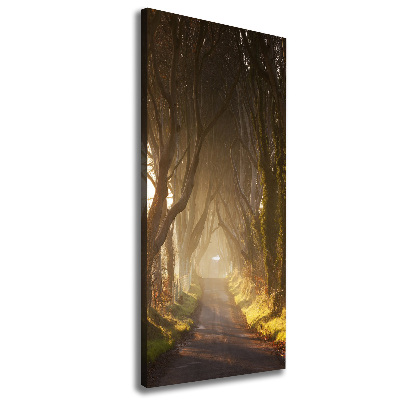 Cuadro moderno en lienzo resistente uv vertical Camino en el bosque