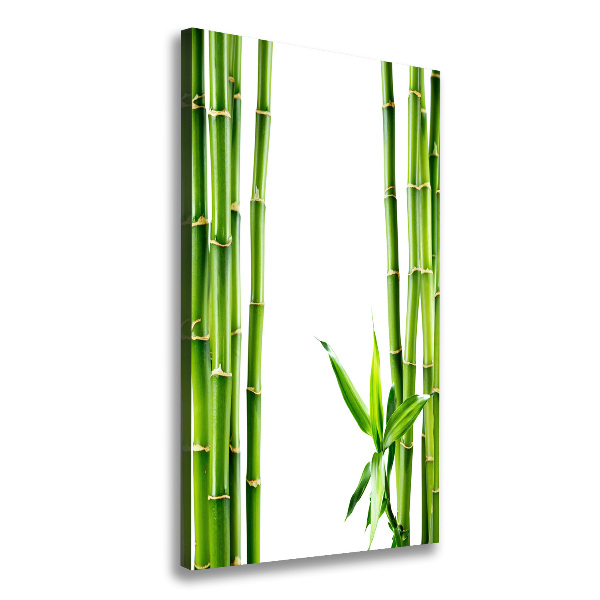 Cuadro canvas decorativo para salón vertical Bambú