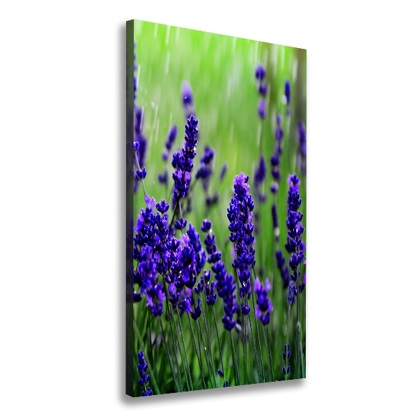 Cuadro moderno en lienzo resistente uv vertical campo de lavanda