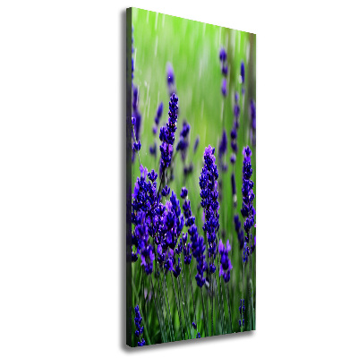 Cuadro moderno en lienzo resistente uv vertical campo de lavanda
