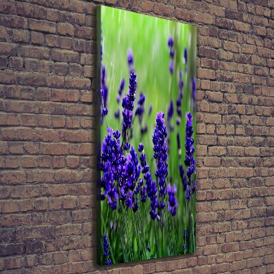 Cuadro moderno en lienzo resistente uv vertical campo de lavanda