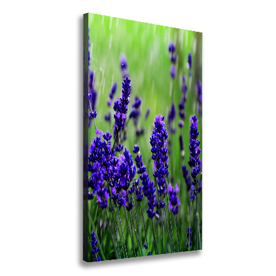 Cuadro moderno en lienzo resistente uv vertical campo de lavanda