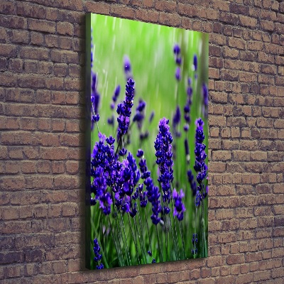 Cuadro moderno en lienzo resistente uv vertical campo de lavanda