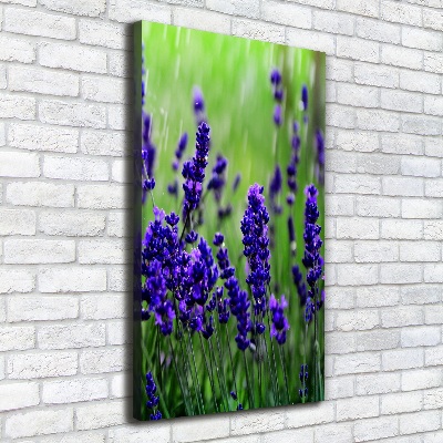 Cuadro moderno en lienzo resistente uv vertical campo de lavanda