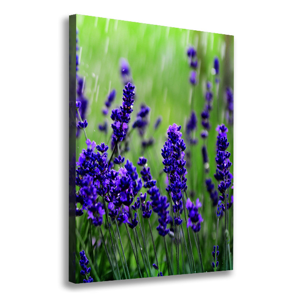 Cuadro moderno en lienzo resistente uv vertical campo de lavanda