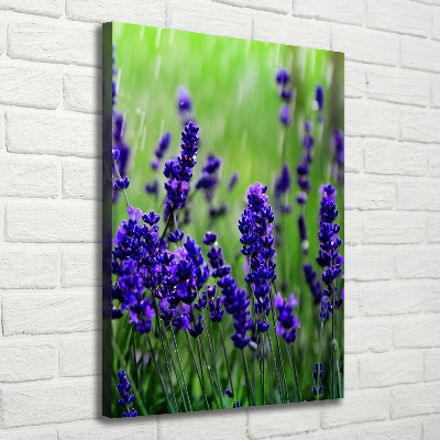Cuadro moderno en lienzo resistente uv vertical campo de lavanda