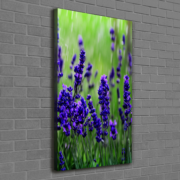 Cuadro moderno en lienzo resistente uv vertical campo de lavanda