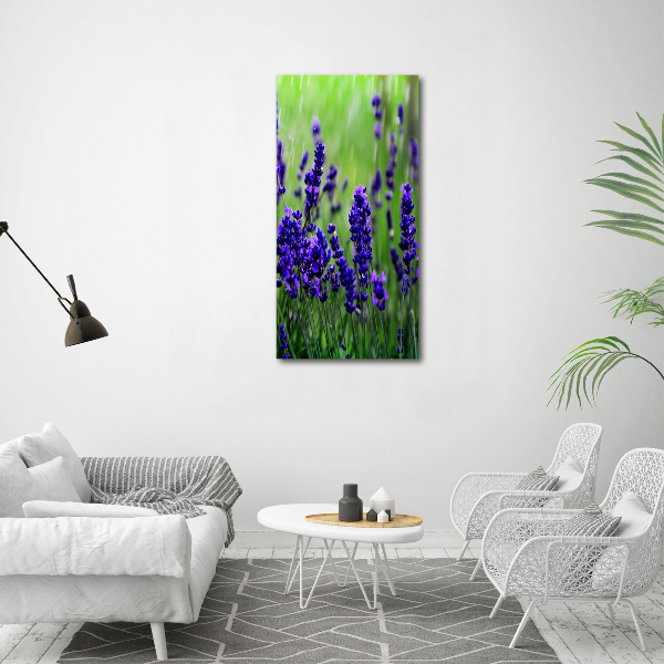 Cuadro moderno en lienzo resistente uv vertical campo de lavanda