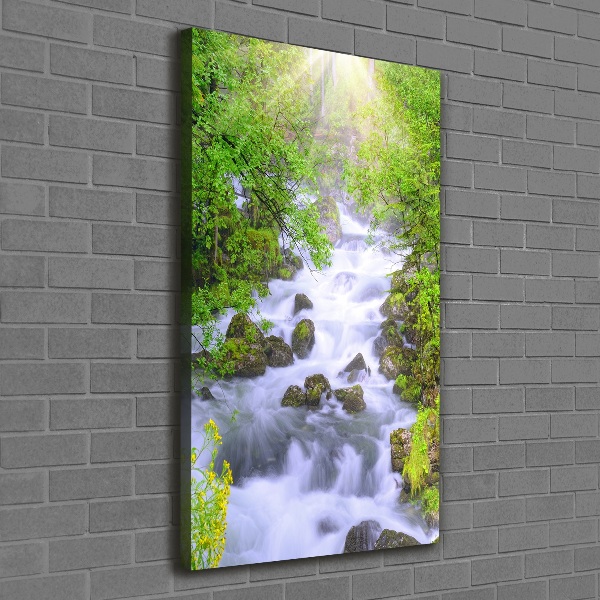 Foto obraz canvas pionowy Górski potok