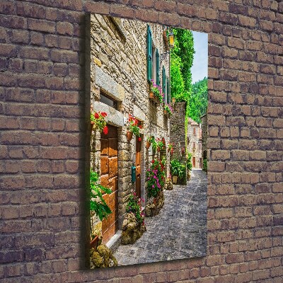 Cuadro canvas decorativo para salón vertical Una calle con encanto