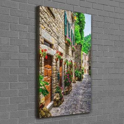 Cuadro canvas decorativo para salón vertical Una calle con encanto