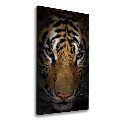 Nowoczesny fotoobraz canvas na ramie pionowy Tygrys