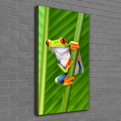 Foto obraz na płótnie pionowy Rzekotka drzewna