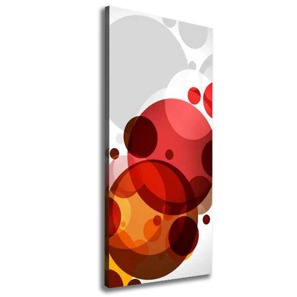 Cuadro canvas decorativo para salón vertical Abstracción circular