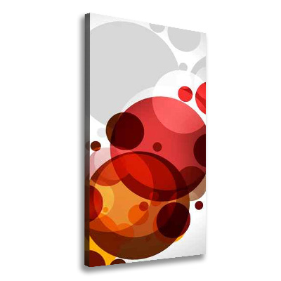 Cuadro canvas decorativo para salón vertical Abstracción circular