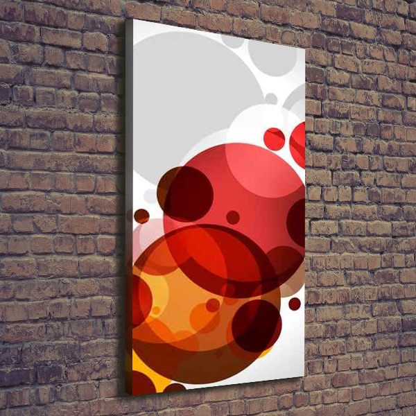 Cuadro canvas decorativo para salón vertical Abstracción circular
