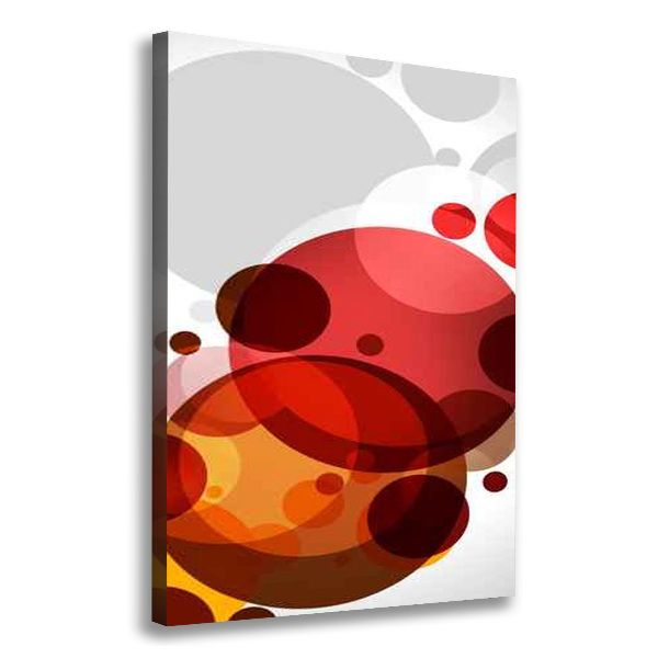Cuadro canvas decorativo para salón vertical Abstracción circular