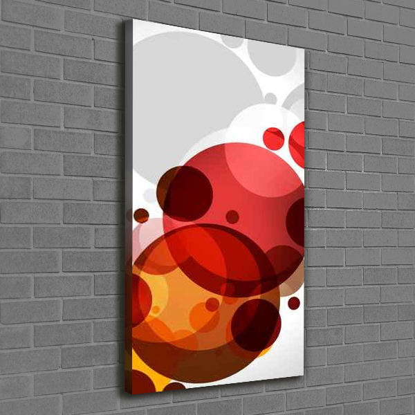 Cuadro canvas decorativo para salón vertical Abstracción circular