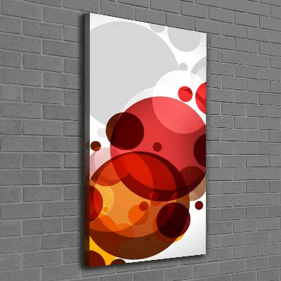 Cuadro canvas decorativo para salón vertical Abstracción circular