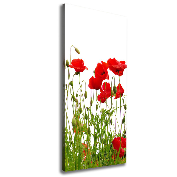 Cuadro moderno en lienzo resistente uv vertical Amapolas de campo