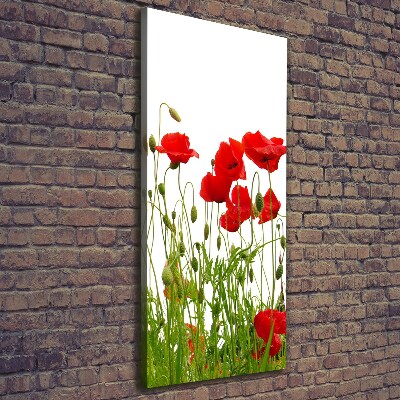 Cuadro moderno en lienzo resistente uv vertical Amapolas de campo