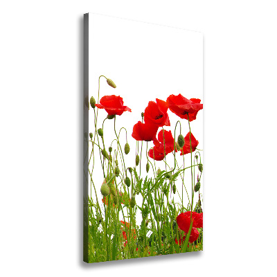 Cuadro moderno en lienzo resistente uv vertical Amapolas de campo