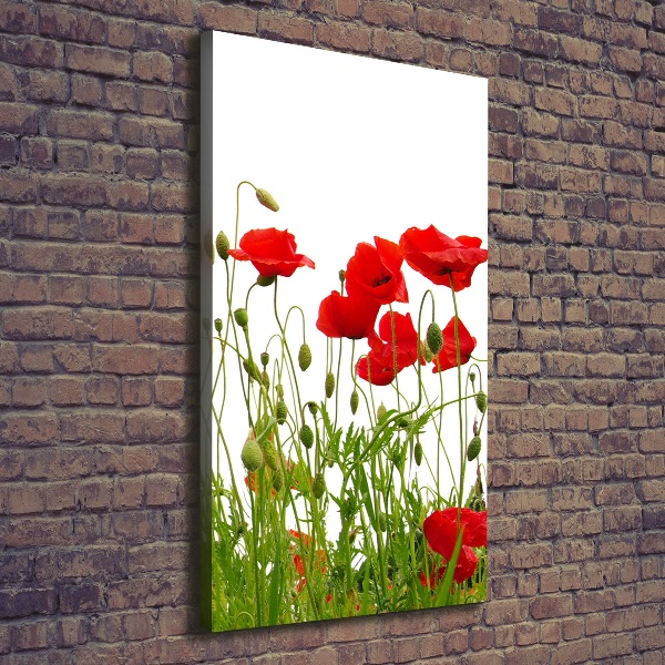 Cuadro moderno en lienzo resistente uv vertical Amapolas de campo