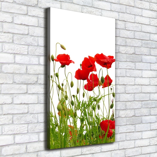 Cuadro moderno en lienzo resistente uv vertical Amapolas de campo