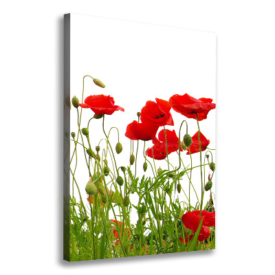 Cuadro moderno en lienzo resistente uv vertical Amapolas de campo