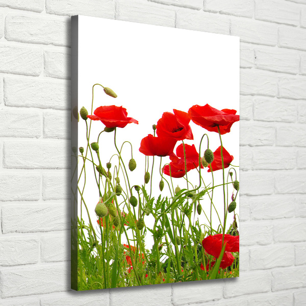 Cuadro moderno en lienzo resistente uv vertical Amapolas de campo