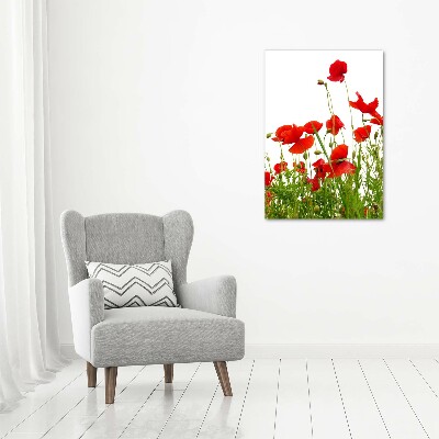 Cuadro moderno en lienzo resistente uv vertical Amapolas de campo