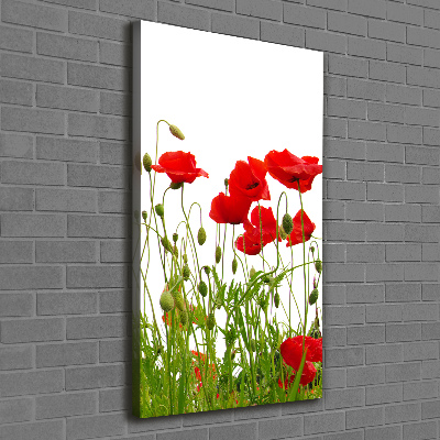 Cuadro moderno en lienzo resistente uv vertical Amapolas de campo