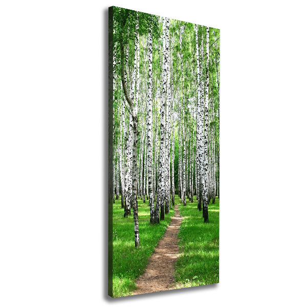 Fotografía en lienzo vertical bosque de abedules