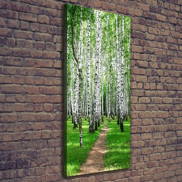 Fotografía en lienzo vertical bosque de abedules