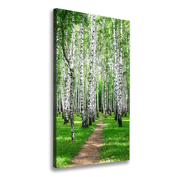 Fotografía en lienzo vertical bosque de abedules