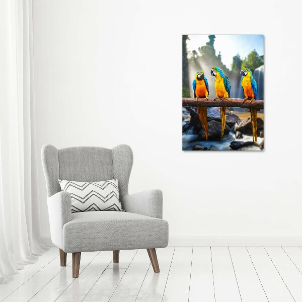 Foto obraz na płótnie do salonu pionowy Papugi Ary