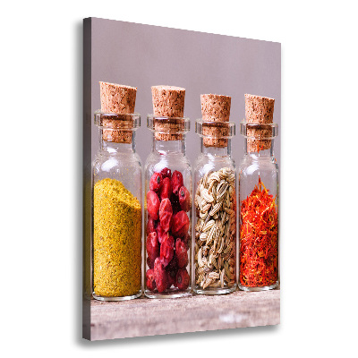 Fotografía en lienzo vertical Especias de colores