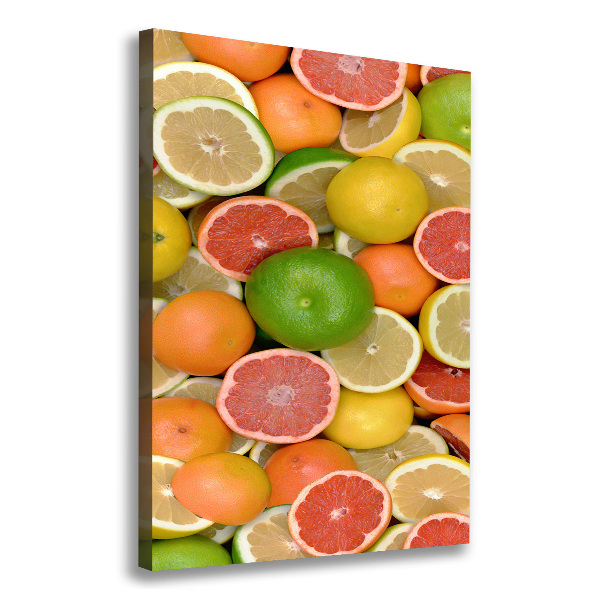 Cuadro moderno en lienzo resistente uv vertical Frutas cítricas
