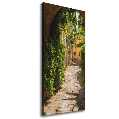 Cuadro moderno en lienzo resistente uv vertical calles italianas