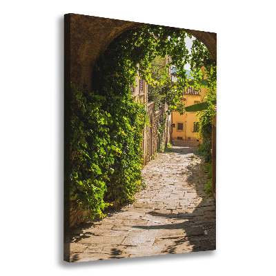 Cuadro moderno en lienzo resistente uv vertical calles italianas