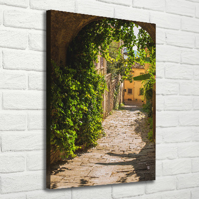 Cuadro moderno en lienzo resistente uv vertical calles italianas