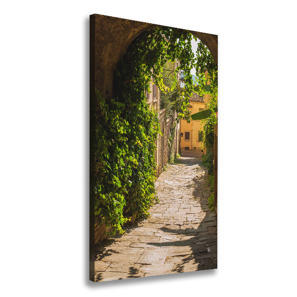 Cuadro moderno en lienzo resistente uv vertical calles italianas