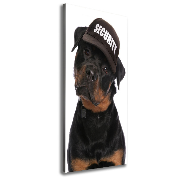 Impresión en lienzo vertical Rottweiler con gorra