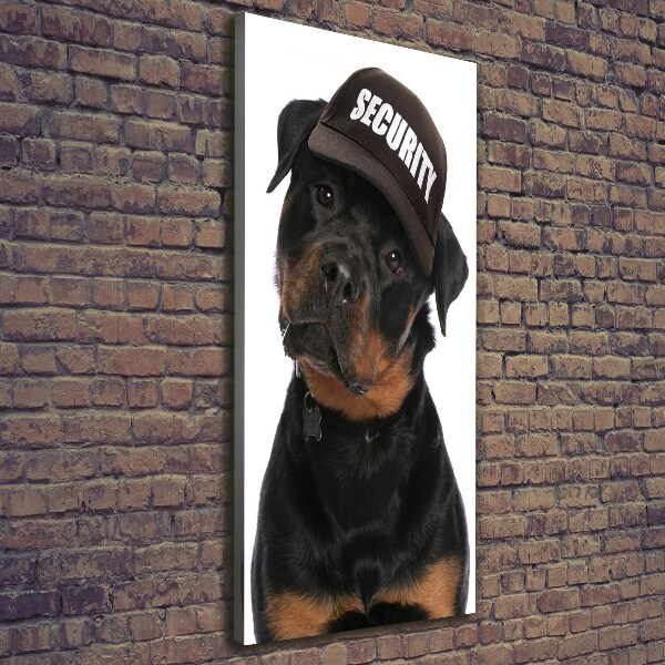 Impresión en lienzo vertical Rottweiler con gorra