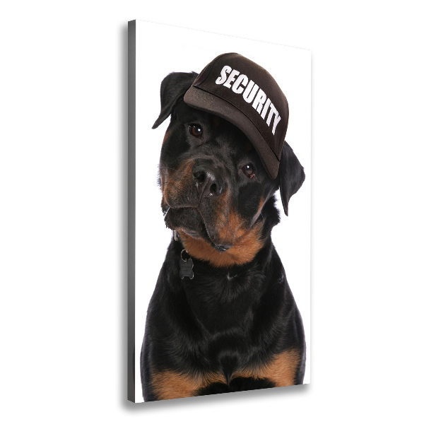 Impresión en lienzo vertical Rottweiler con gorra