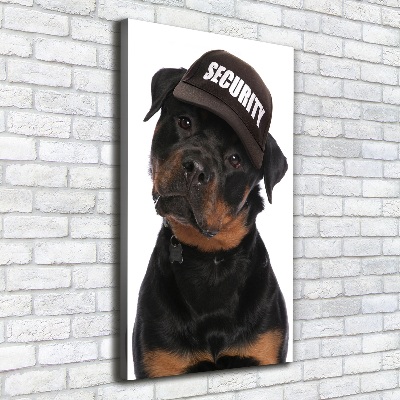 Impresión en lienzo vertical Rottweiler con gorra