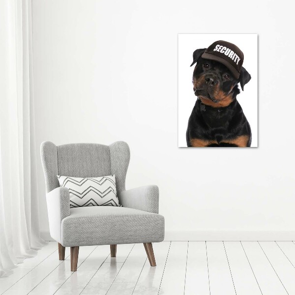 Impresión en lienzo vertical Rottweiler con gorra