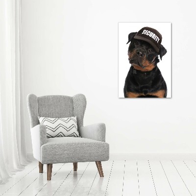 Foto obraz na płótnie pionowy Rottweiler w czapce