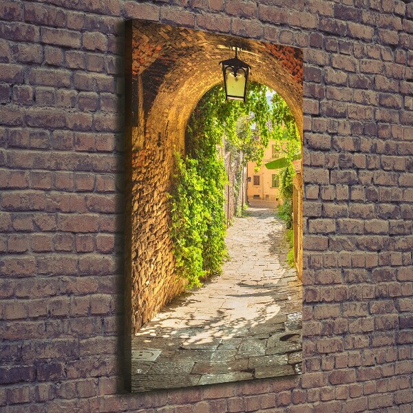 Cuadro moderno en lienzo resistente uv vertical calles italianas